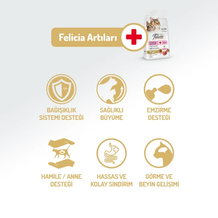 Felicia Hipoalerjenik Kuzu Etli Düşük Tahıllı Yavru Kedi Maması 2kg
