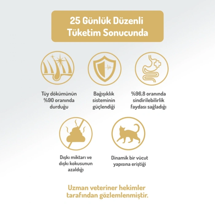 Felicia Hipoalerjenik Tavuklu ve Hamsili Düşük Tahıllı Yavru Kedi Maması 2kg