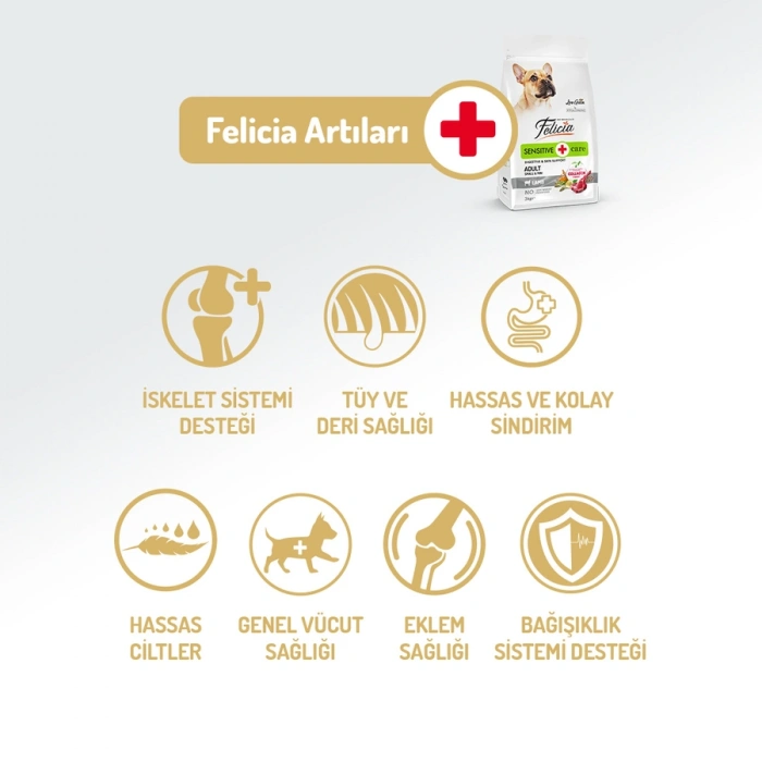 Felicia 3 Kg Kolajenli Kuzulu Az Tahıllı Small/Mini Yetişkin Köpek Maması HypoAllergenic Köpek Maması