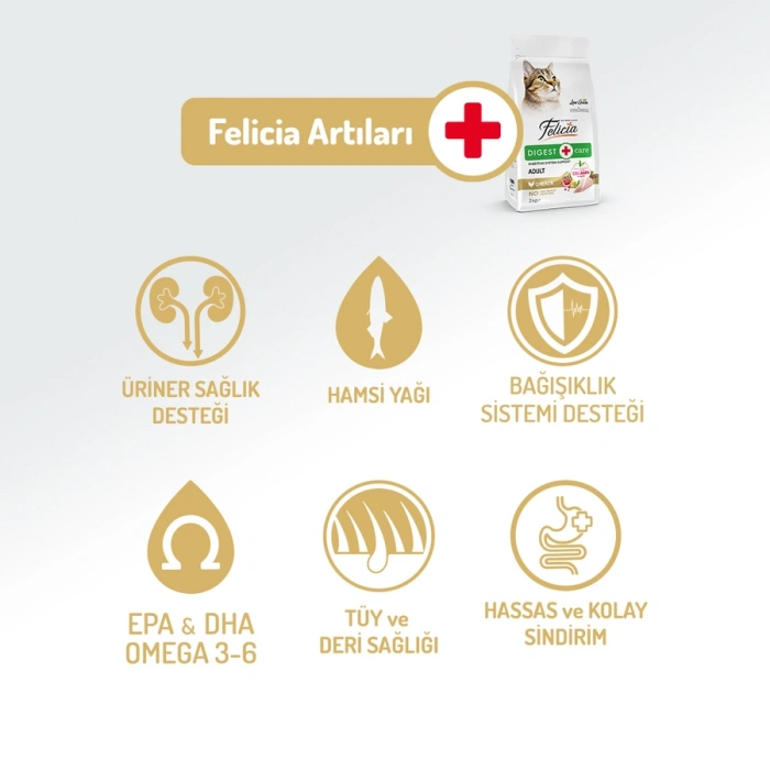 Felicia Hipoalerjenik Tavuklu ve Hamsili Düşük Tahıllı Yetişkin Kedi Maması 2kg