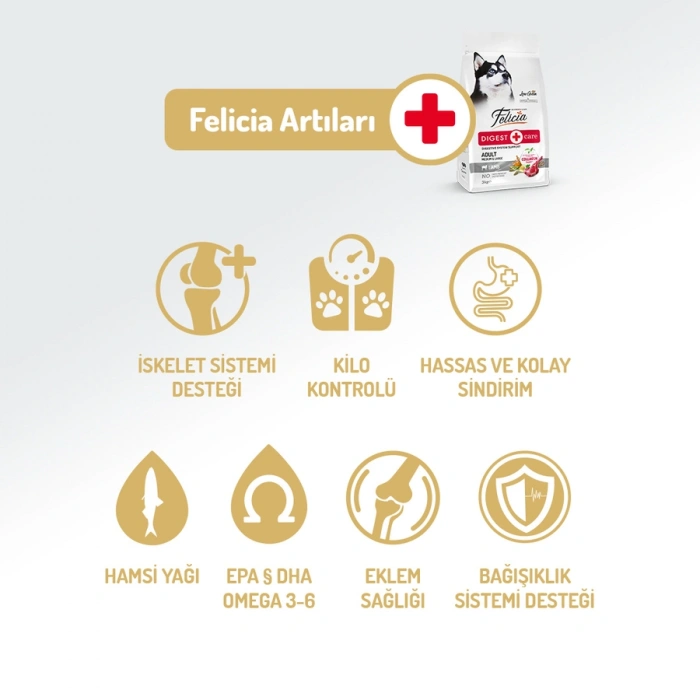 Felicia 15 Kg Kolajenli Kuzulu Az Tahıllı M/Large Yetişkin Köpek Maması Breed HypoAllergenic Köpek Maması