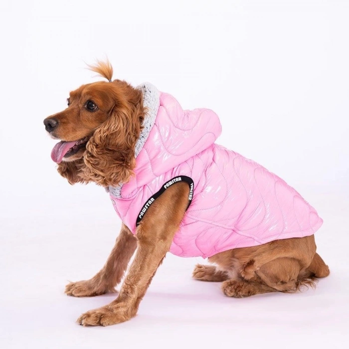 Pawstar Köpek Pink Light Wave Vest Large