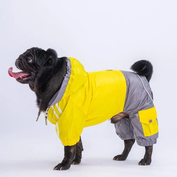 PawStar Sarı Gri Bicolor Küçük Irk Köpek Tulum Yağmurluk Large