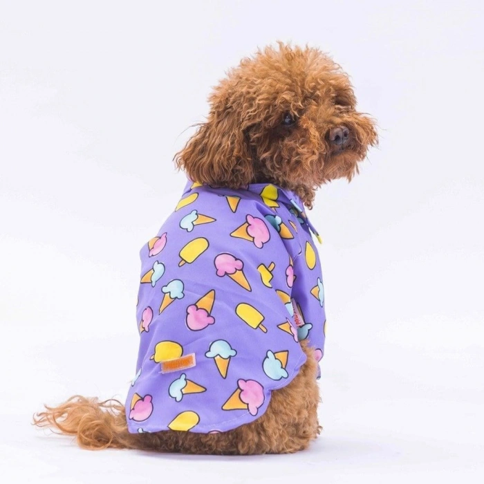 Pawstar Ice Cream Pattarned Medium Size