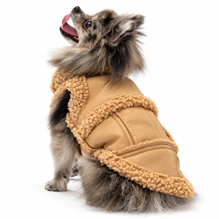 Pawstar Luxury Bej Churchill Large