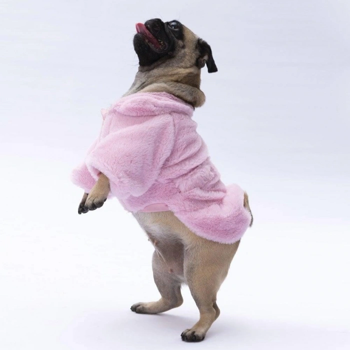 Pawstar Pink Paris Ceket Large Size