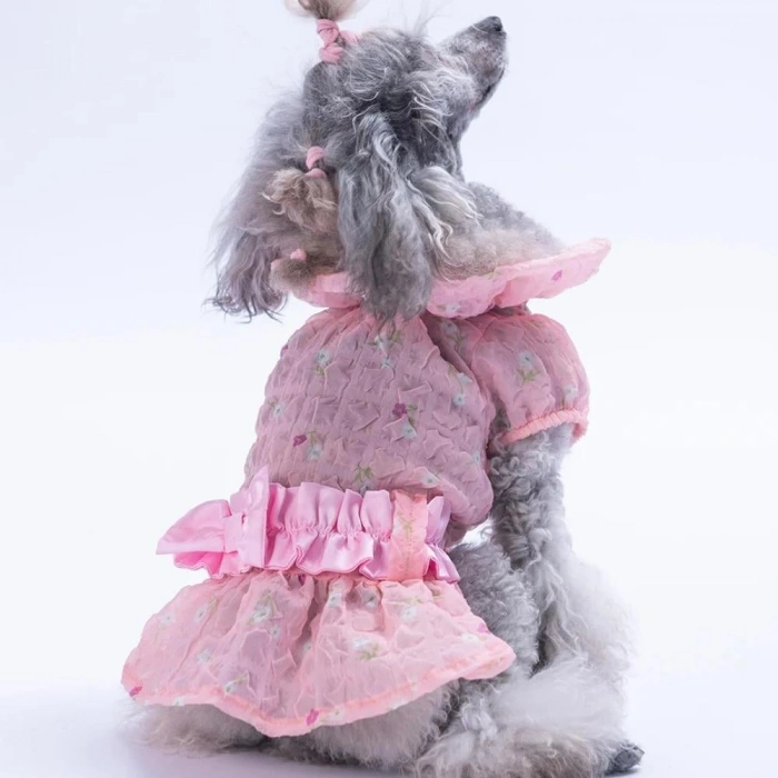 Pawstar Pink ValenciaElbise Large Size