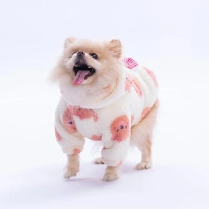 Pawstar Sappora Bear Hoodie Large