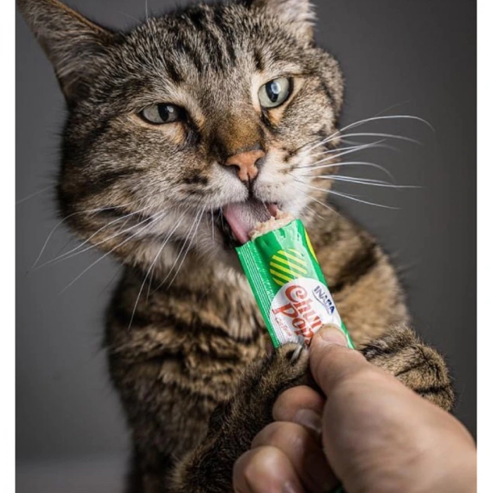 Churu Pops Ton Balıklı ve Tavuklu Kedi Ödül Kreması 4x15 GR.