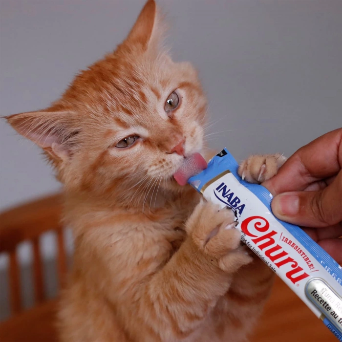 Ciao Churu Cream Ton Balıklı Kedi Ödül Kreması 4 x 14 Gr