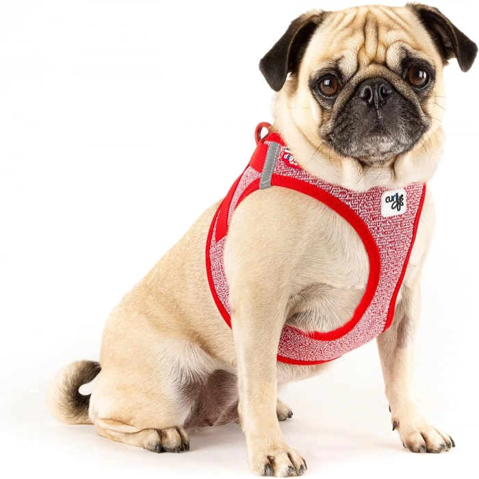 Curlı Vest Harness Merıno Red Small