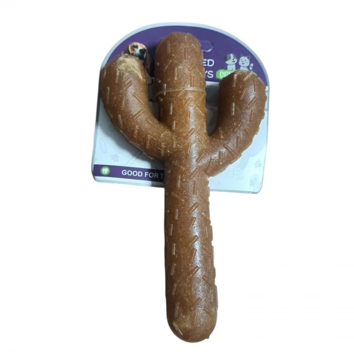 Dema Pet Et Aromalı Kaktüs Kemirme Oyuncağı