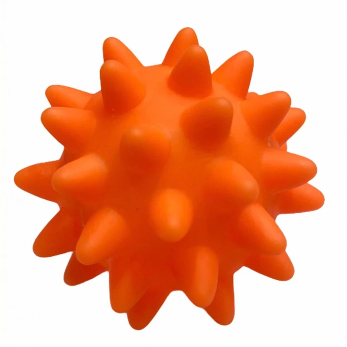 Doglife Köpekler İçin Barbed Ball Oyuncak