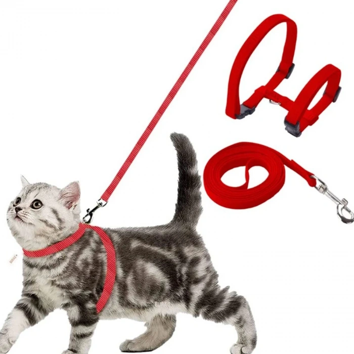 Kedi Bel Tasması Ve Gezdirme Kayışı