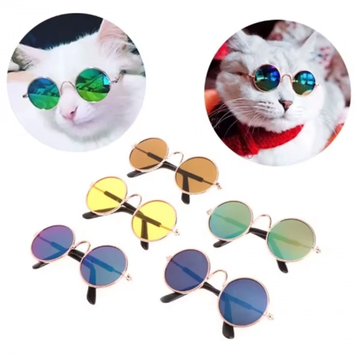 Kedi Köpek Gözlüğü