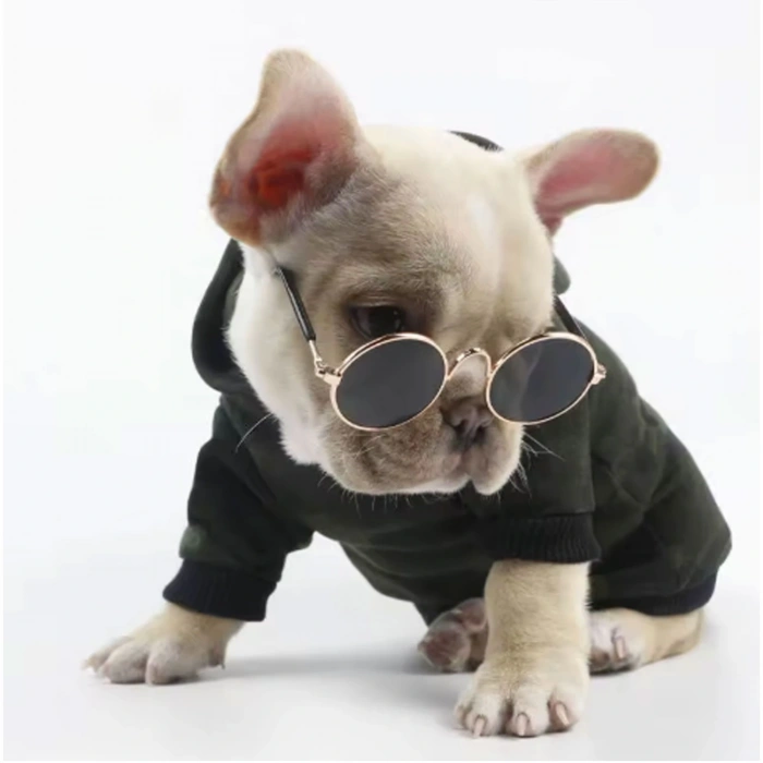 Kedi Köpek Gözlüğü İp Hediyeli