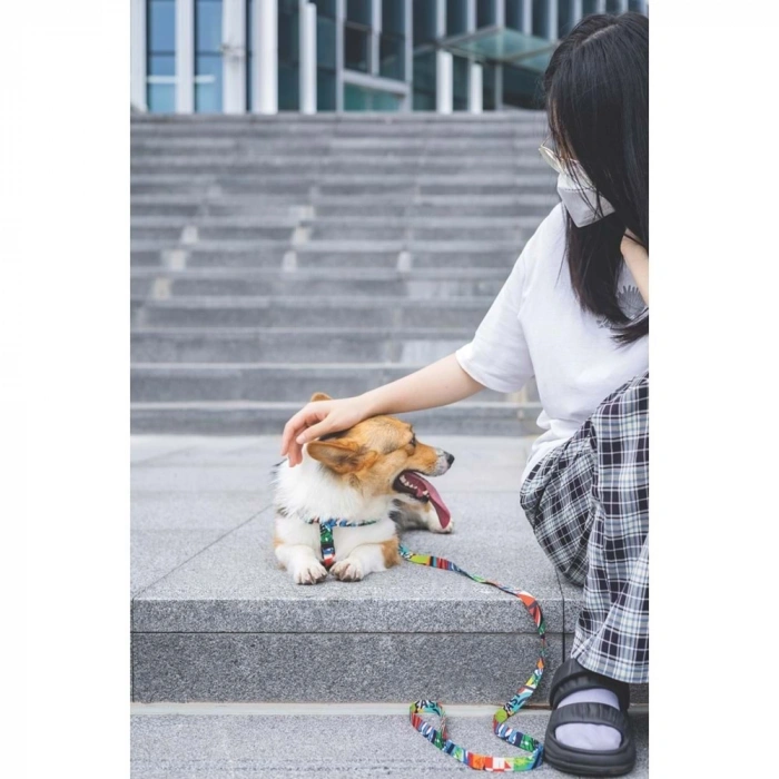 M-Pets Urban Style Köpek Göğüs Tasması 60cm [S]