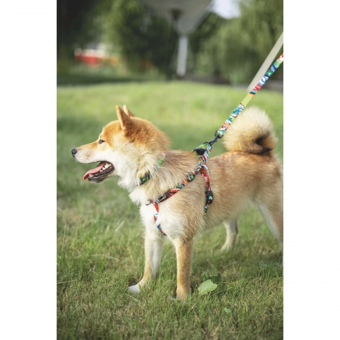 M-Pets Urban Style Köpek Göğüs Tasması 75cm [M]