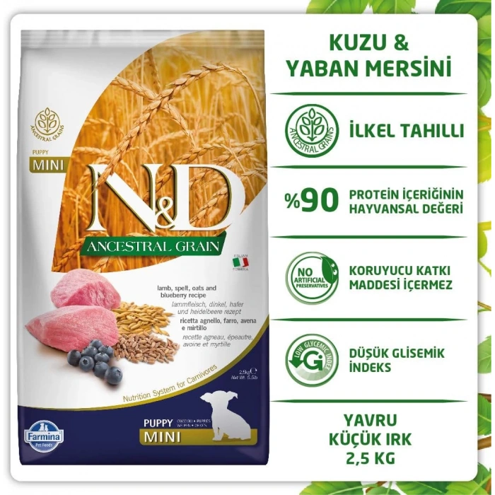 N&D Ancestral Grain Kuzu Etli Yaban Mersinli Küçük Irk Ata Tahıllı Yavru Köpek Maması 2,5kg