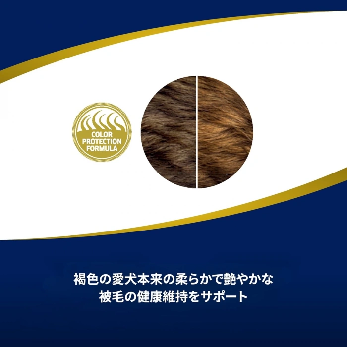 N&D Brown Kuzu Etli Spirulina ve Havuçlu Küçük Irk Yetişkin Köpek Maması 2kg