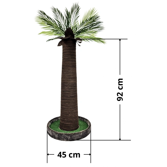 Palmiye Kedi Tırmalaması