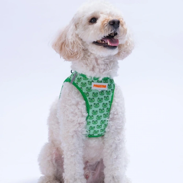 Pawstar Air-Mesh Frog Köpek Göğüs Tasması Medium