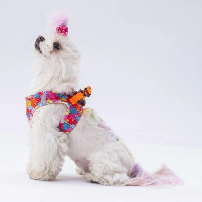 Pawstar Air-Mesh Monsters Köpek Göğüs Tasması XS Beden