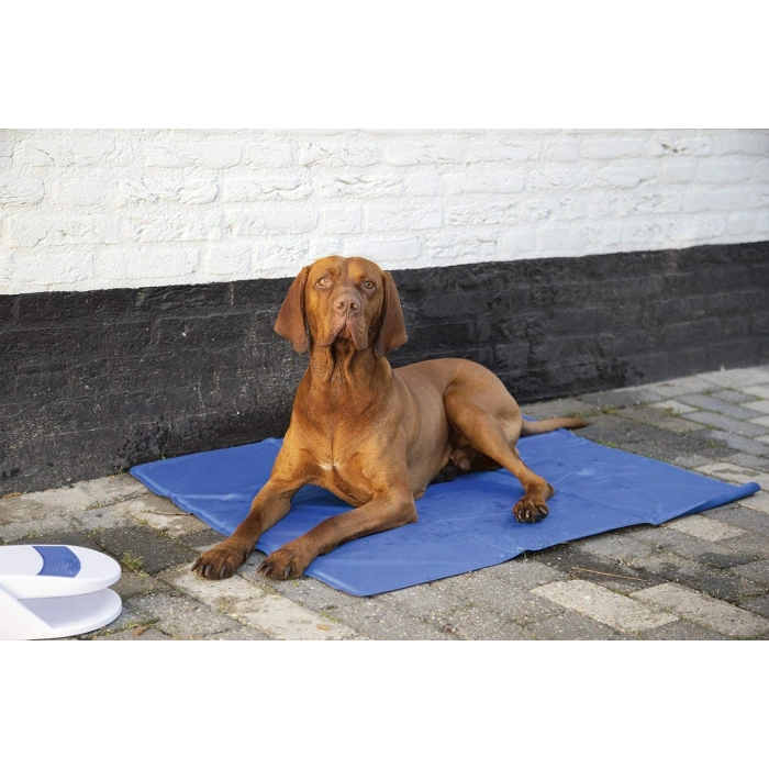 Pet Cool Mat Medium Size 40*50cm