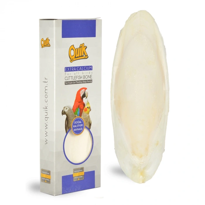 Quik Mürekkep Balığı (Kalamar) Kemiği Büyük Boy