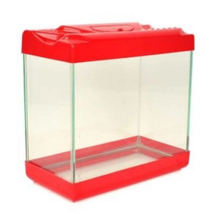 Renkli Akvaryum Küçük Boy