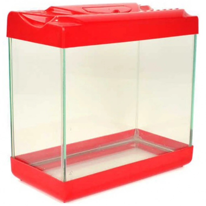 Renkli Kapaklı Akvaryum Orta Boy