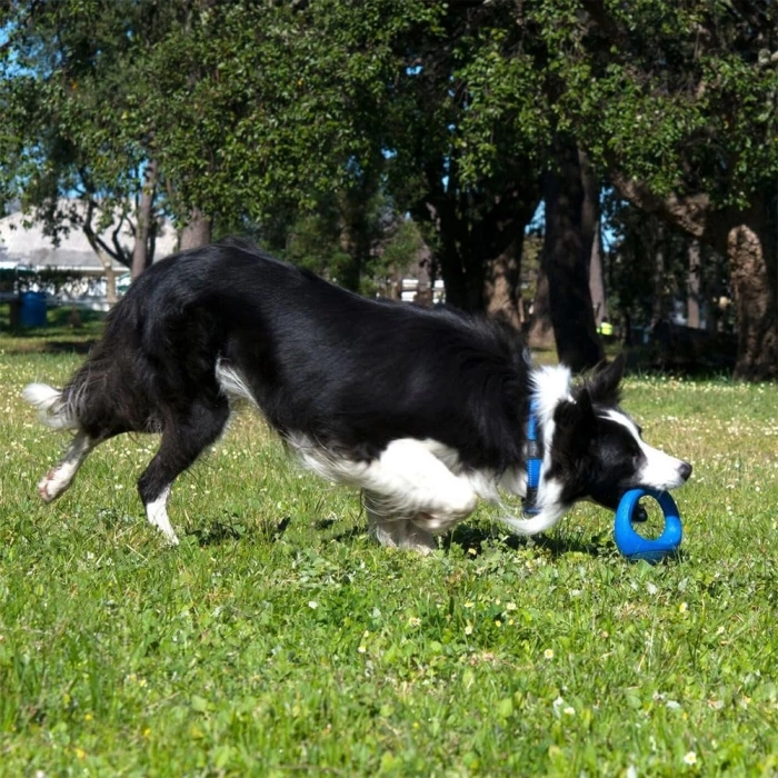 Rogz POP-UPZ Float & Fetch Toy S-M 12cm