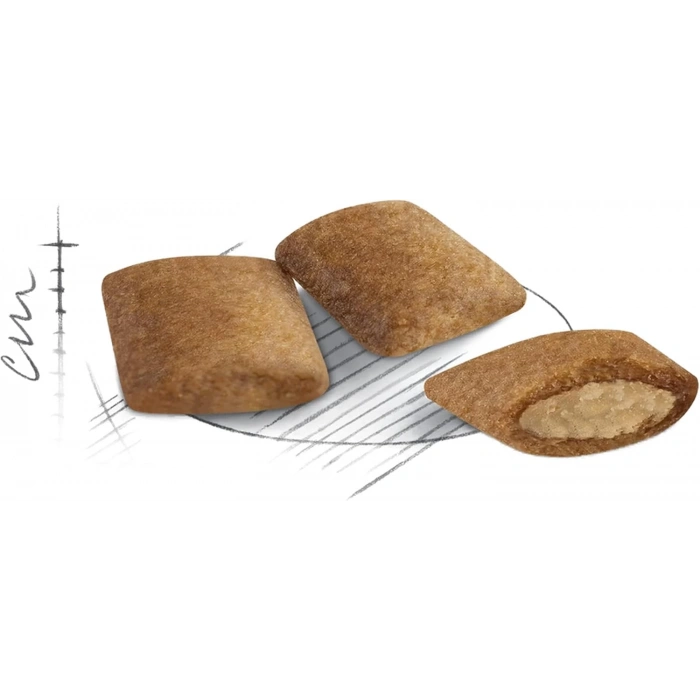 Royal Canin Ageing +12 2 Kg Yaşlı Kuru Kedi Maması