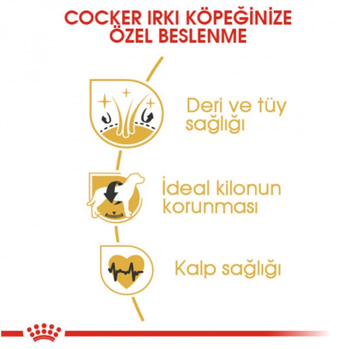 Royal Canin Bhn Cocker Adult 3K