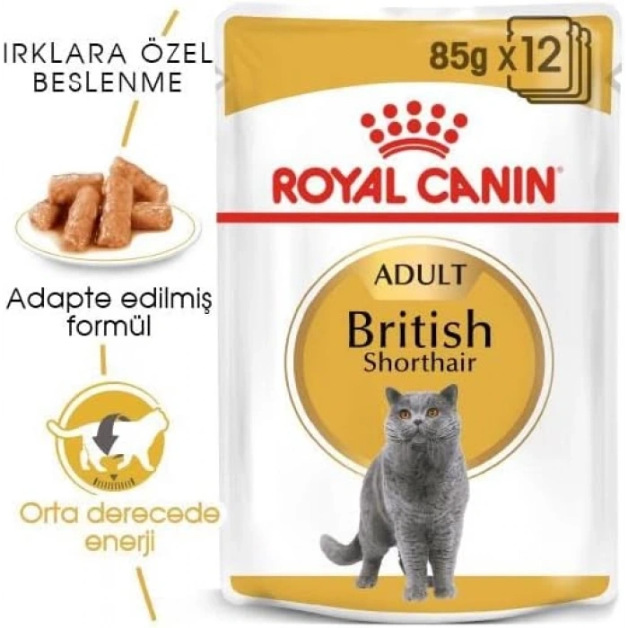 Royal Canin British Shorthair Yaş Mama Pouch 85gr