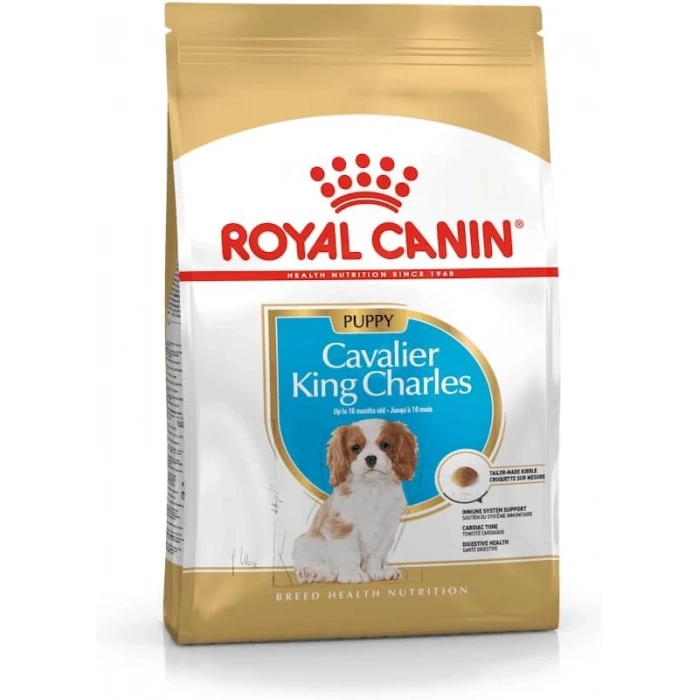 Royal Canin Cavalier King Charles Junior 1.5 Kg Yavru Kuru Köpek Maması