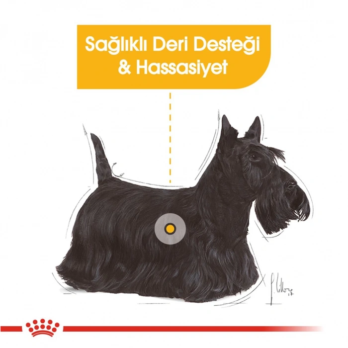 Royal Canin Ccn Mini Derma 3K