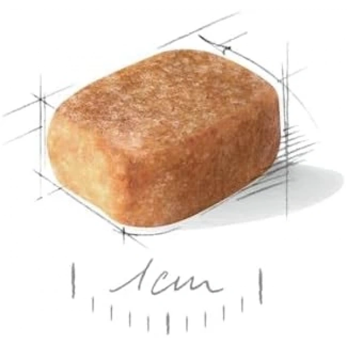 Royal Canin Chihuahua Adult 1.5 Kg Yetişkin Kuru Köpek Maması