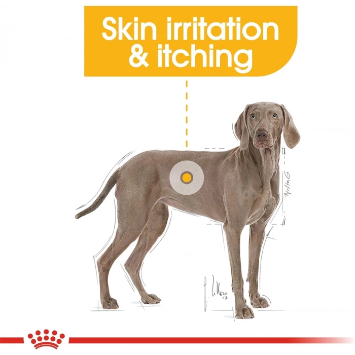 Royal Canin Dermacomfort Maxi Yetişkin Köpek Maması 12kg