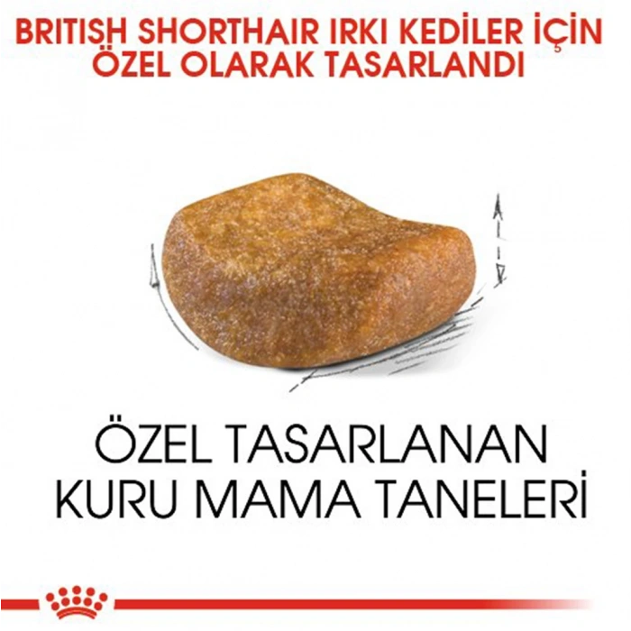 Royal Canin Fbn Brit Shorthair 2K