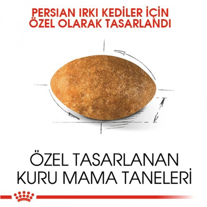 Royal Canin Fbn Persian 2K