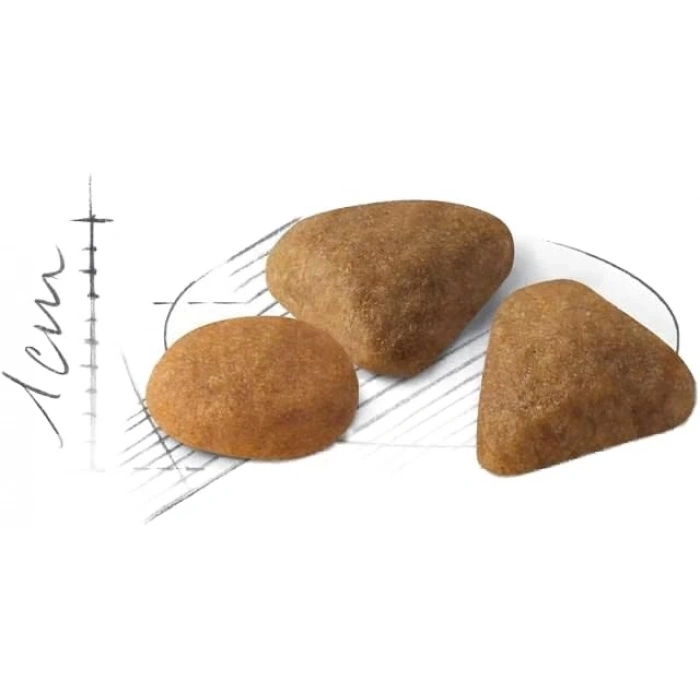 Royal Canin Fhn Exigent 35/30 4K