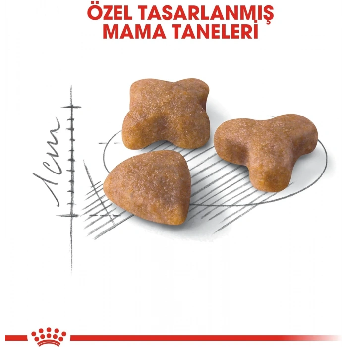 Royal Canin Fhn Sensible33 4K