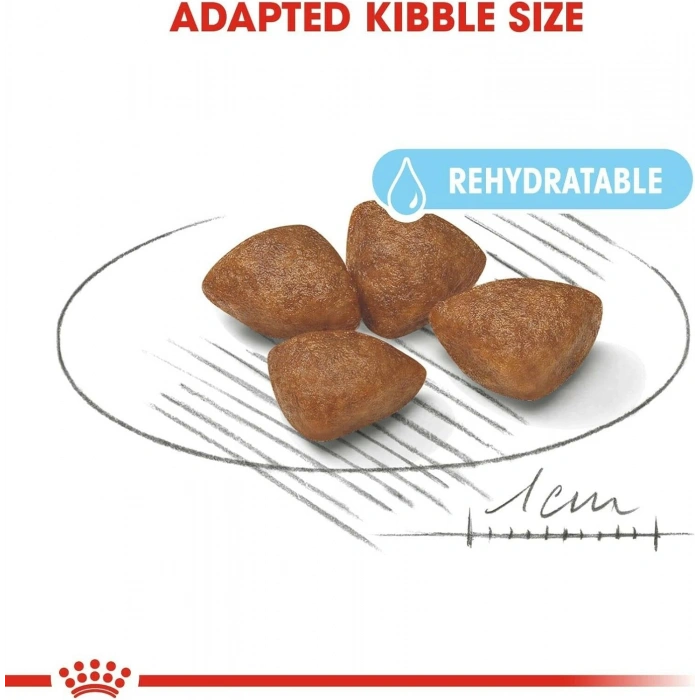 Royal Canin Mini Starter Mother & Babydog 1kg