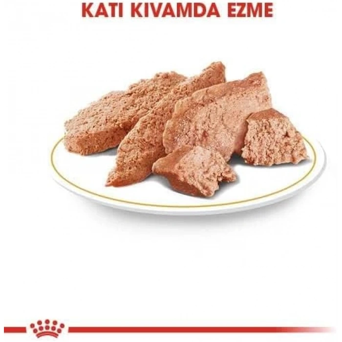 Royal Canin Persian Yaş Kedi Maması 85gr.