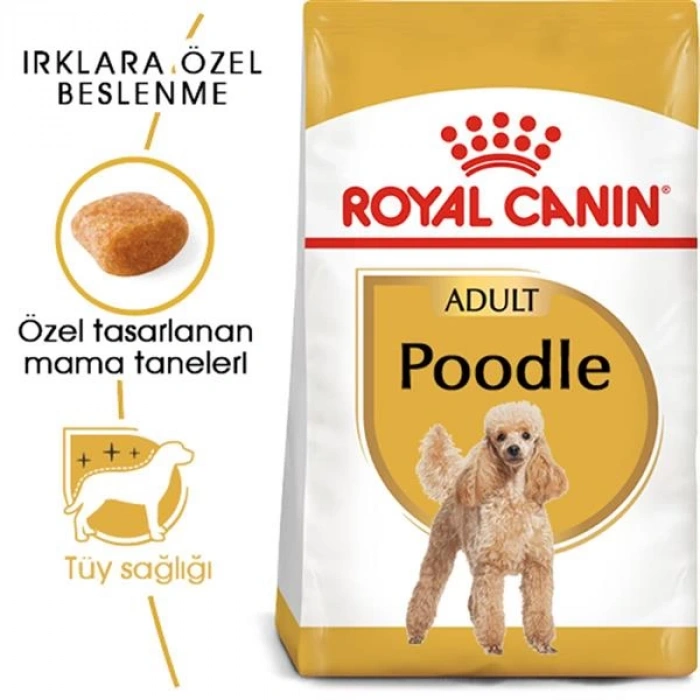 Royal Canin Poodle Adult Köpek Maması 3 Kg