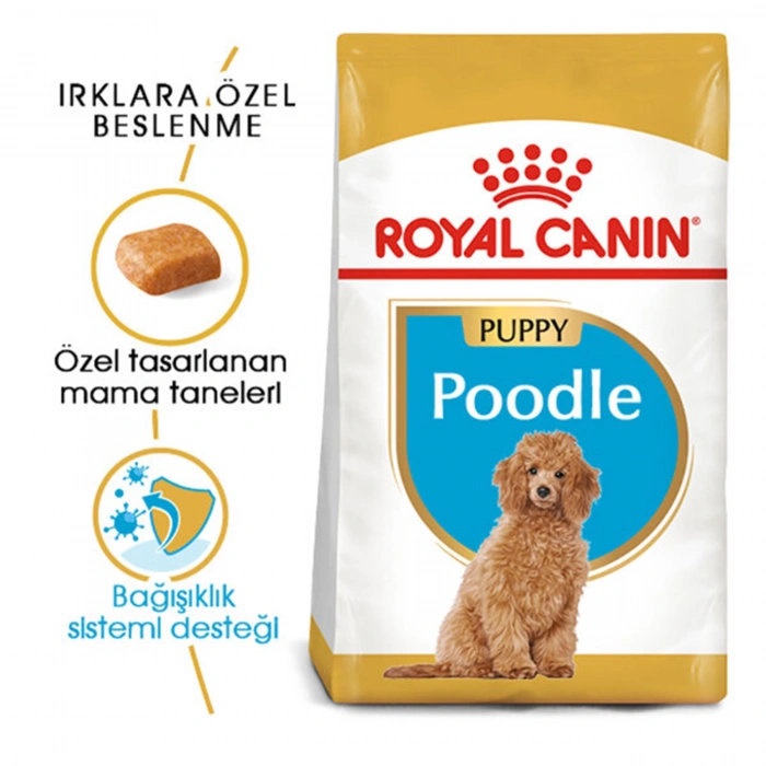 Royal Canin Poodle Junior Yavru Köpek Maması 3 Kg
