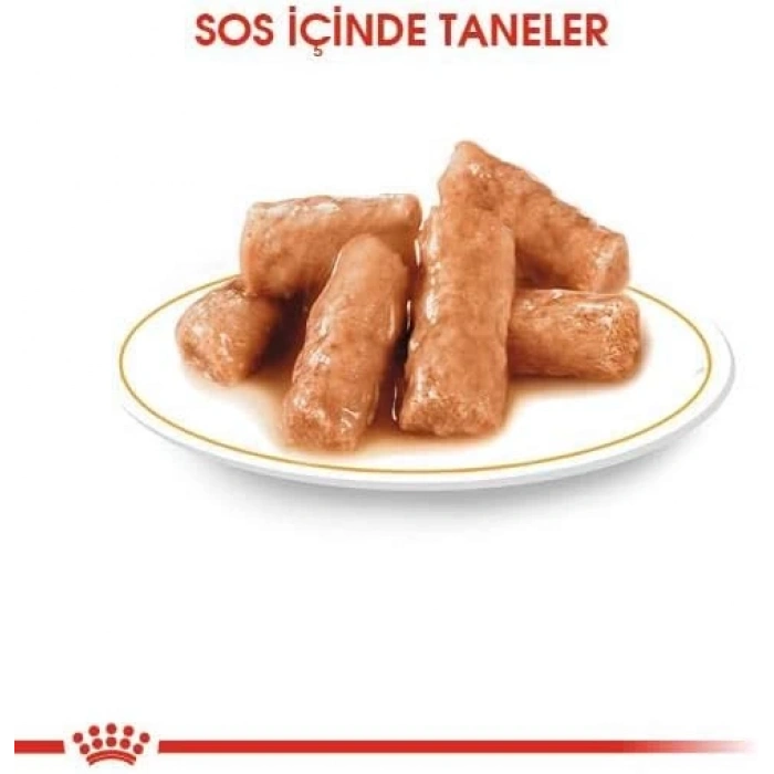 Royal Canin Poodle Yetişkin Pouch Yaş Köpek Maması 85 gr