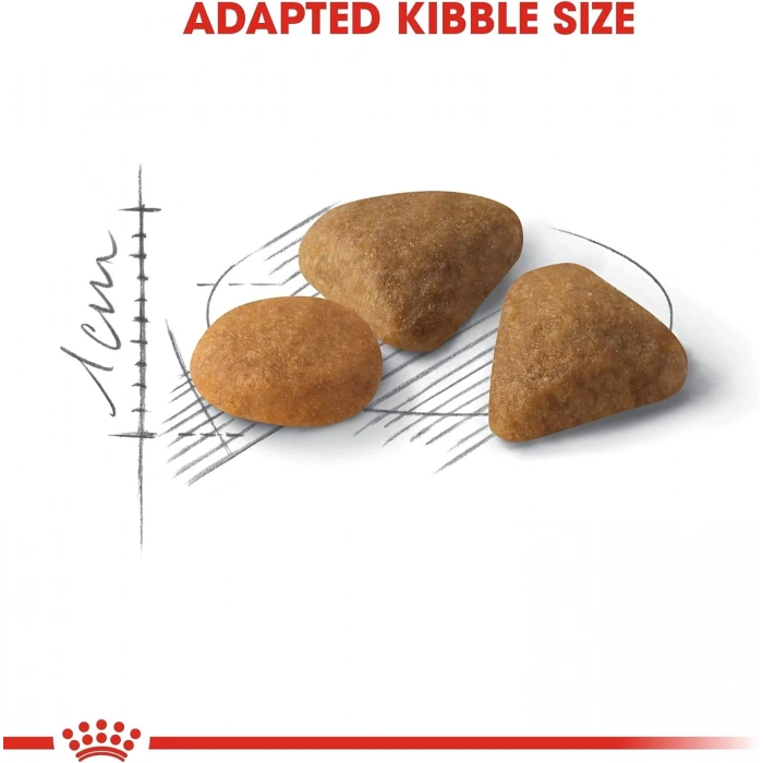 Royal Canin Savour Exigent Seçici Kedilere Özel Yetişkin Kedi Maması 10 kg