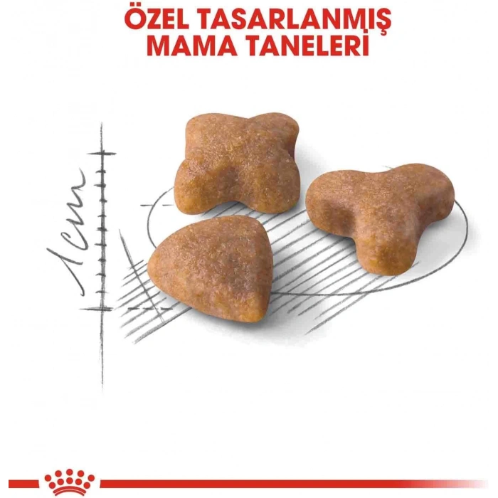 Royal Canin Sensıble 33 Hassas Sindirim Yetişkin Kedi Maması Açık 1 Kg